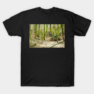 Jungle Boogie T-Shirt